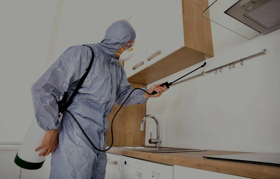 Colton pest managment